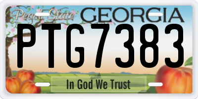 GA license plate PTG7383