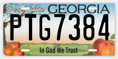 GA license plate PTG7384