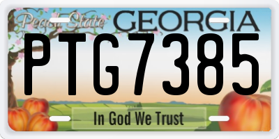 GA license plate PTG7385