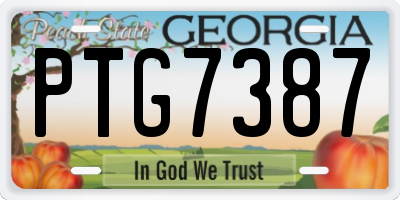 GA license plate PTG7387