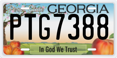 GA license plate PTG7388