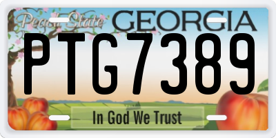 GA license plate PTG7389