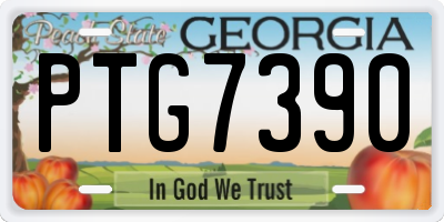 GA license plate PTG7390