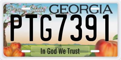 GA license plate PTG7391