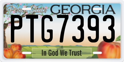 GA license plate PTG7393