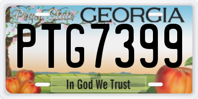 GA license plate PTG7399