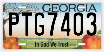 GA license plate PTG7403