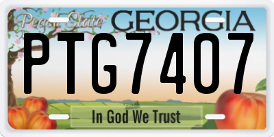 GA license plate PTG7407