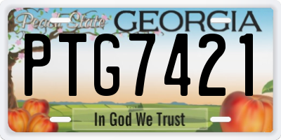 GA license plate PTG7421