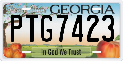 GA license plate PTG7423