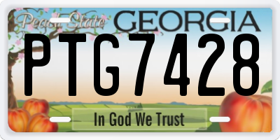 GA license plate PTG7428