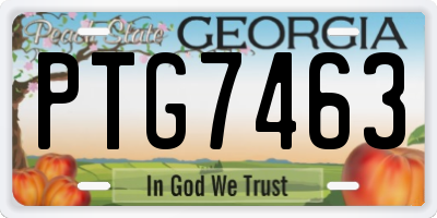 GA license plate PTG7463