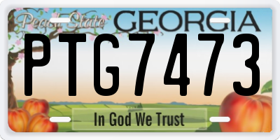 GA license plate PTG7473