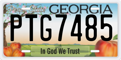 GA license plate PTG7485