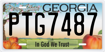 GA license plate PTG7487