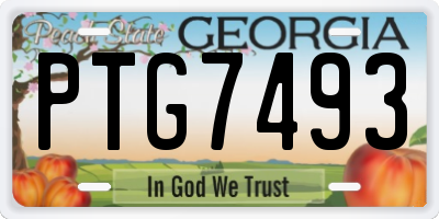 GA license plate PTG7493