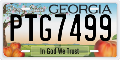 GA license plate PTG7499