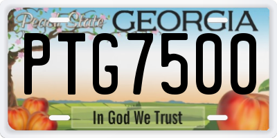 GA license plate PTG7500