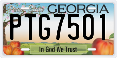 GA license plate PTG7501