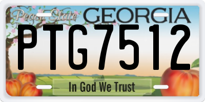 GA license plate PTG7512