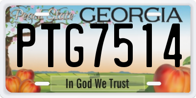 GA license plate PTG7514