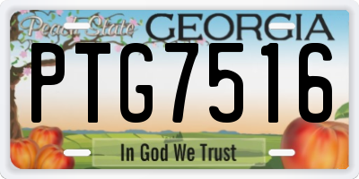 GA license plate PTG7516