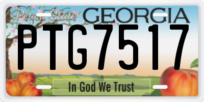GA license plate PTG7517