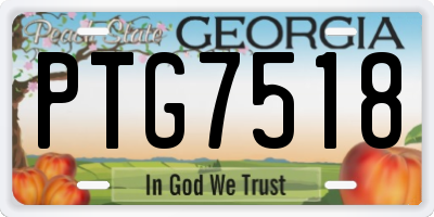 GA license plate PTG7518