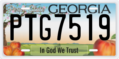 GA license plate PTG7519