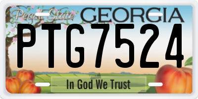 GA license plate PTG7524