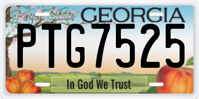 GA license plate PTG7525