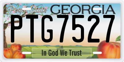 GA license plate PTG7527