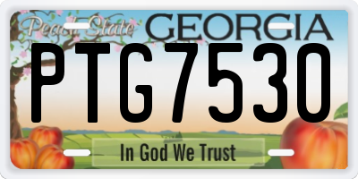 GA license plate PTG7530