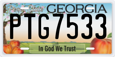 GA license plate PTG7533