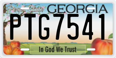 GA license plate PTG7541