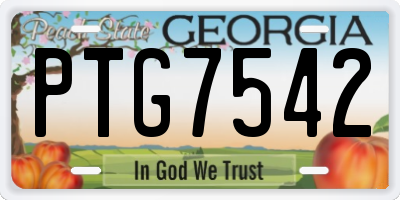 GA license plate PTG7542