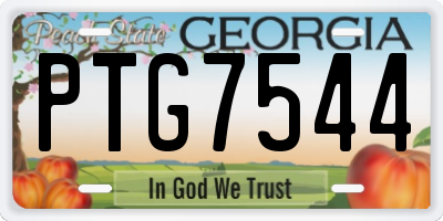GA license plate PTG7544