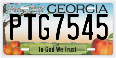 GA license plate PTG7545