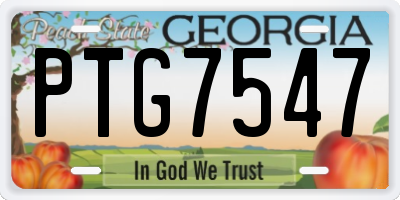 GA license plate PTG7547
