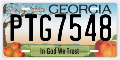 GA license plate PTG7548