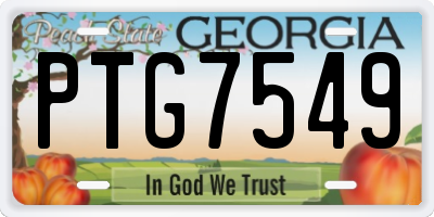 GA license plate PTG7549