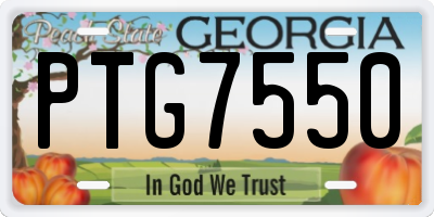 GA license plate PTG7550