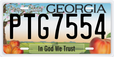 GA license plate PTG7554
