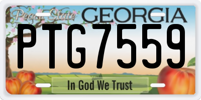 GA license plate PTG7559