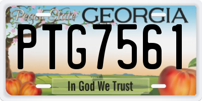 GA license plate PTG7561