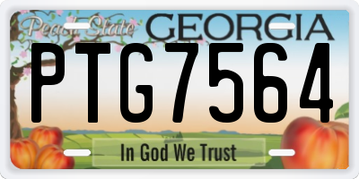GA license plate PTG7564