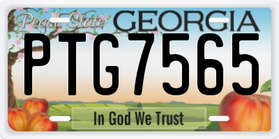GA license plate PTG7565
