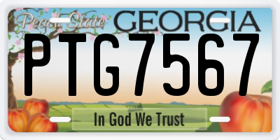 GA license plate PTG7567