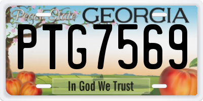 GA license plate PTG7569