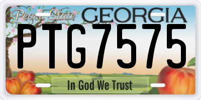 GA license plate PTG7575